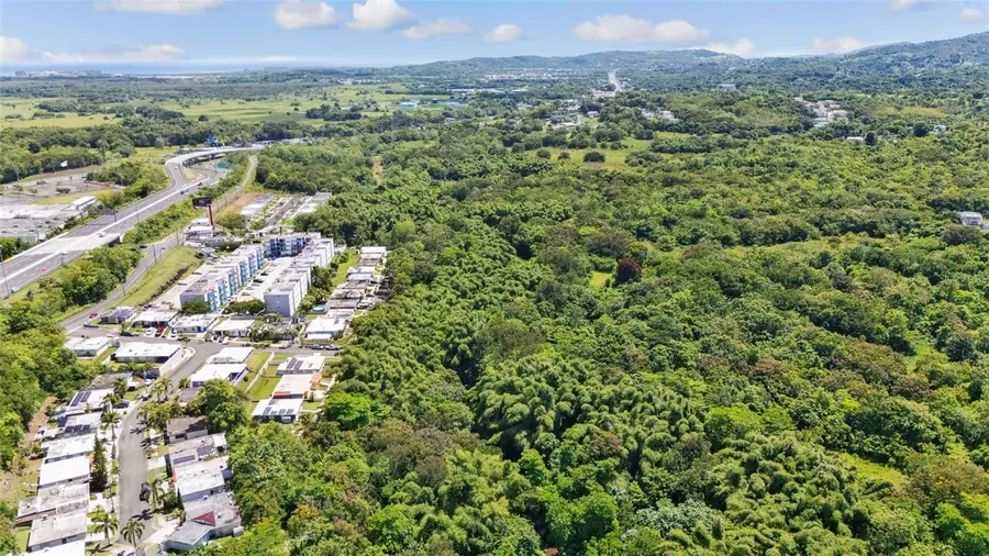 956 Bo Guzman Abajo - Sector Galateo, Rio Grande, PR 00745 - Image #2