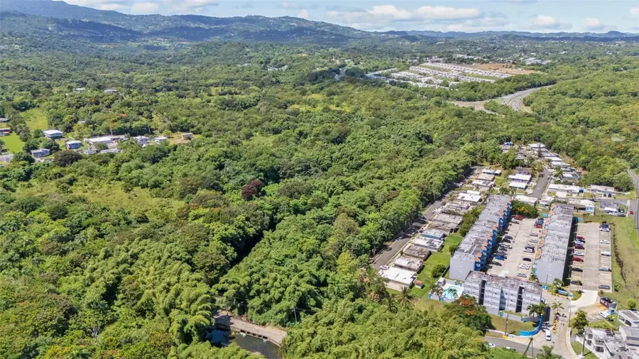 956 Bo Guzman Abajo - Sector Galateo, Rio Grande, PR 00745 - Image #3