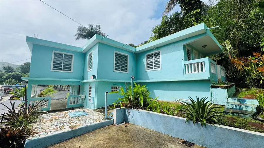 1 Carr 156, Comerio, PR 00782 - Image #2