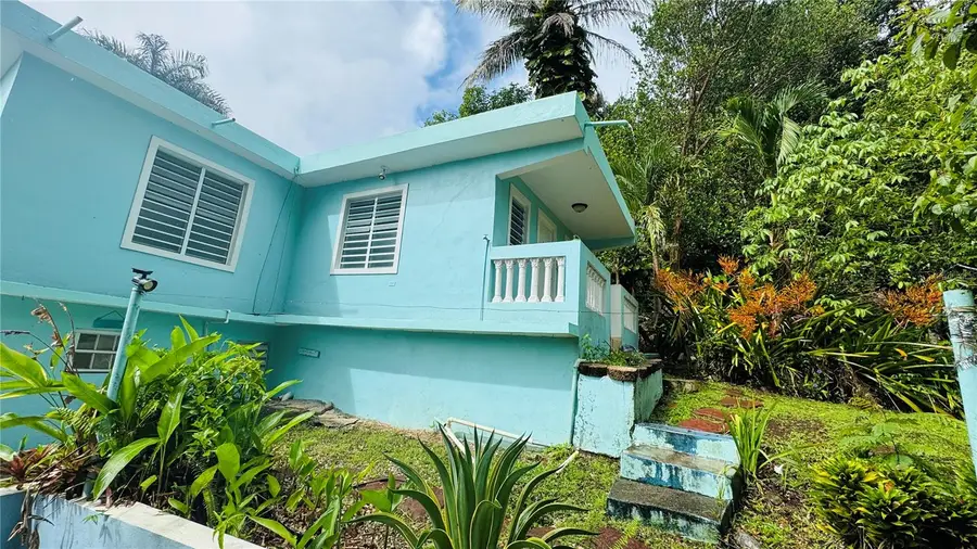 1 Carr 156, Comerio, PR 00782 - Image #3