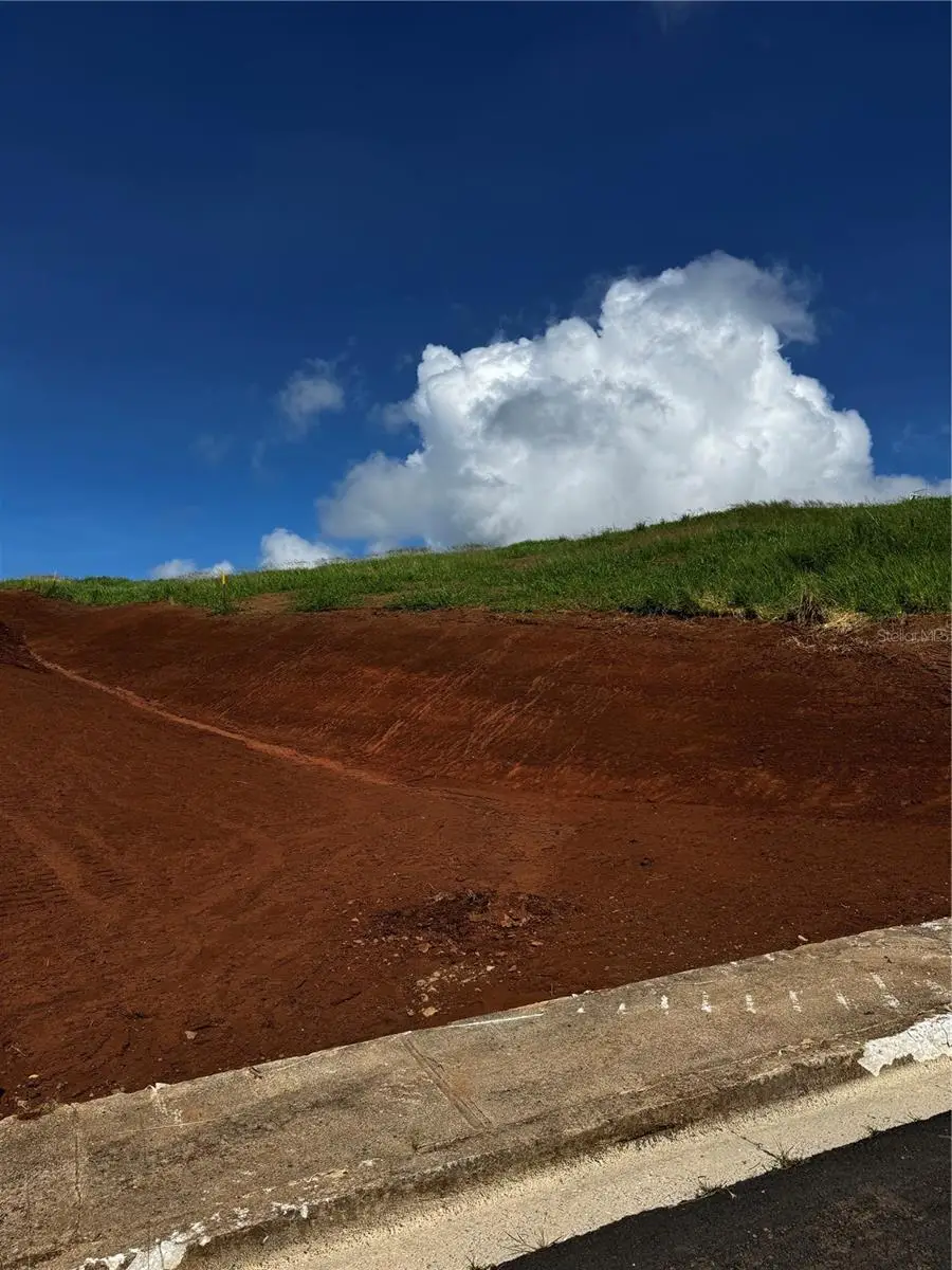 Carr 155 Km 31.2 Int Bo. Barros #Lote 1, Orocovis, PR 00720 - Image #2