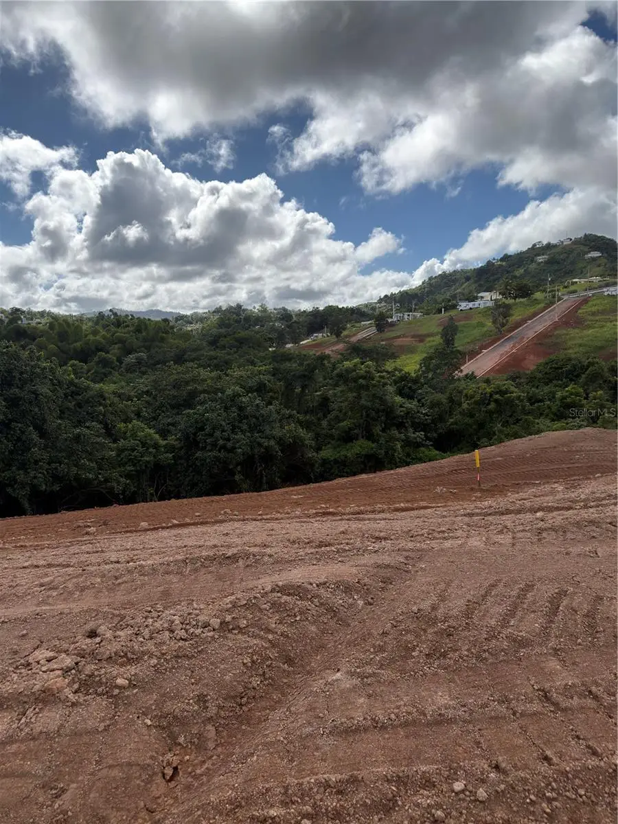 Carr 155 Km 31.2 Int Bo. Barros #Lote 3, Orocovis, PR 00720 - Image #1