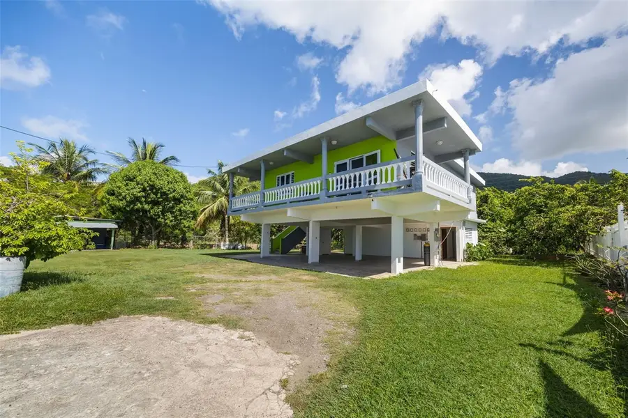 CARR. 3 Bo. Guardarraya Sector Cooperativo #KM 113.3, Patillas, PR 00723 - Image #3