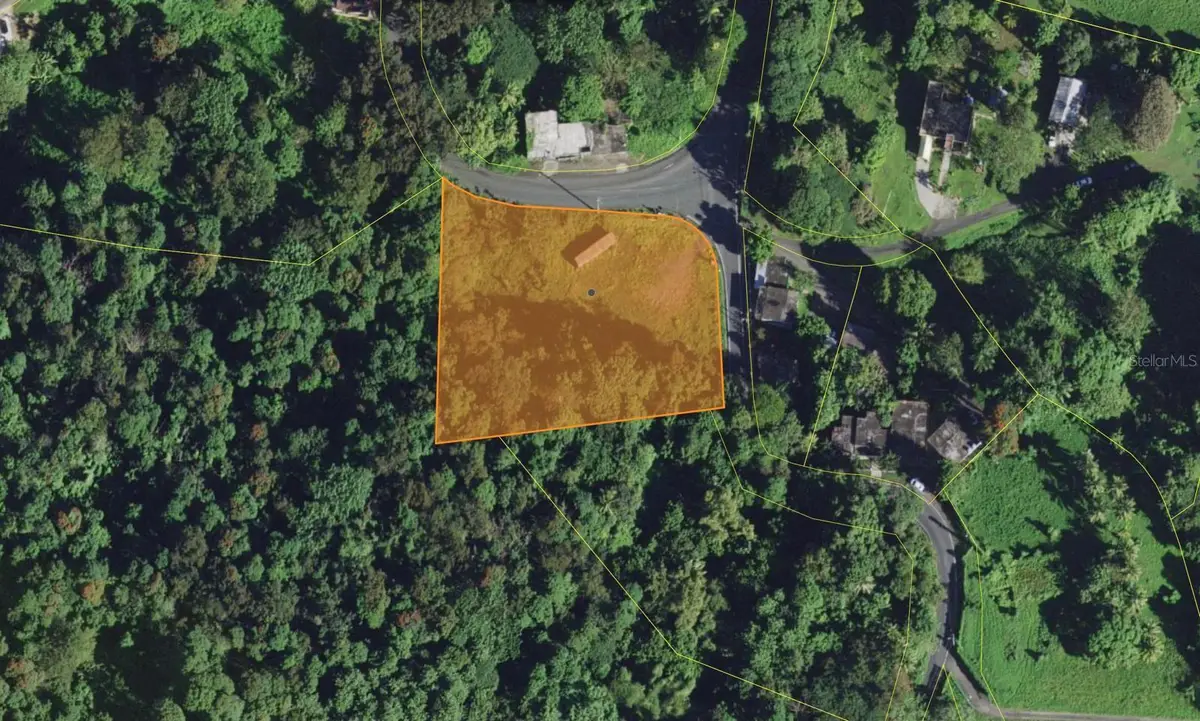 Bo. Lomas Carr 186, Int 907 Km.hm 7.0, Canovanas, PR 00729 - Image #1