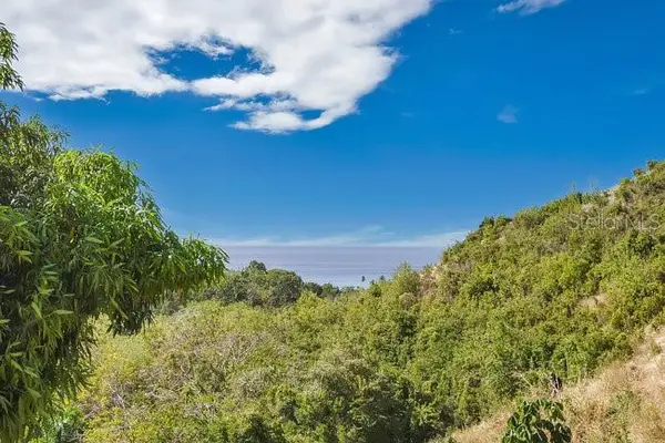 ENSENADA La Joya- Tres Palmas Tropical Estates, RINCON, PR 00677