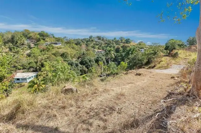 ENSENADA La Joya- Tres Palmas Tropical Estates, Rincon, PR 00677 - Image #3