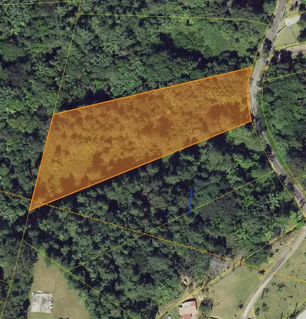 Calle Coqui Palmeado, CAGUAS, PR 00727