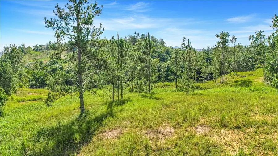 63 Sector Monticello, Cidra, PR 00739 - Image #3