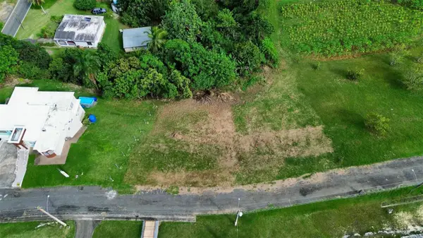 Bo Robles Parcela 7, SAN SEBASTIAN, PR 00685