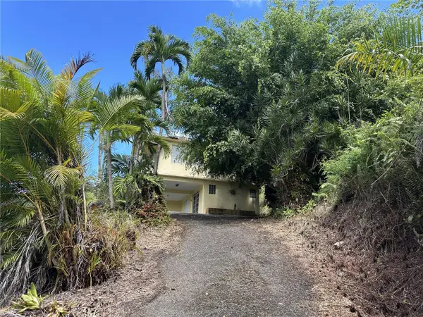 120 Carr 120, SABANA GRANDE, PR 00637