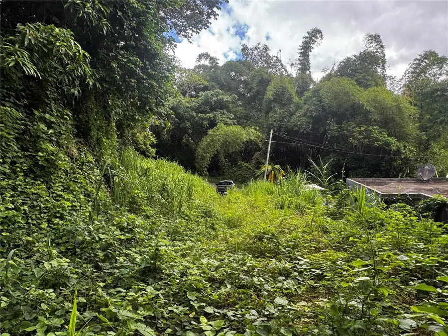 CARR 181 Bo Masa Km 13 Hm 2 #LOTE 5, Gurabo, PR 00778 - Image #3