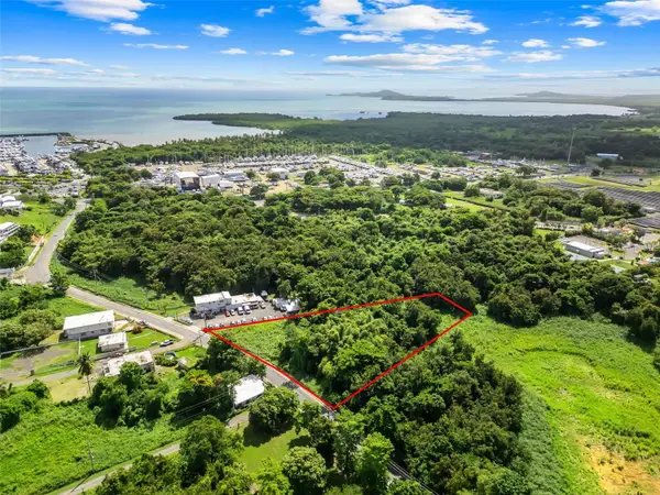 Carr. 982 Km 0.3 Bo. Demajagua, FAJARDO, PR 00738