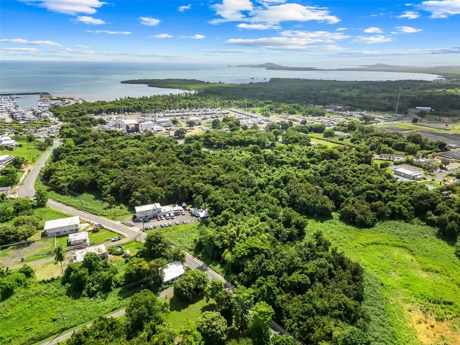 Carr. 982 Km 0.3 Bo. Demajagua, Fajardo, PR 00738 - Image #2