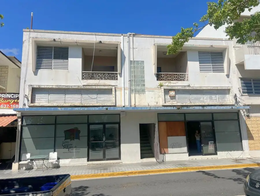 202 Jose A Vargas Street, Isabela, PR 00662 - Image #2