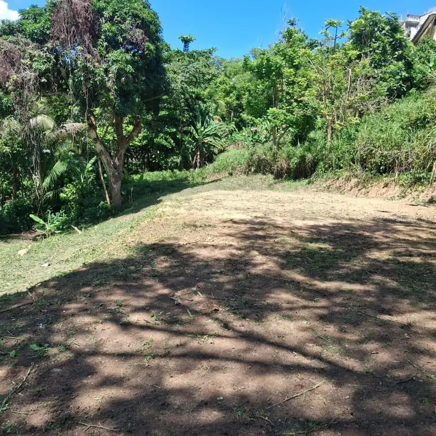 Bo. Minillas De Bayamon Carr 831 Km6.1, Bayamon, PR 00956 - Image #2