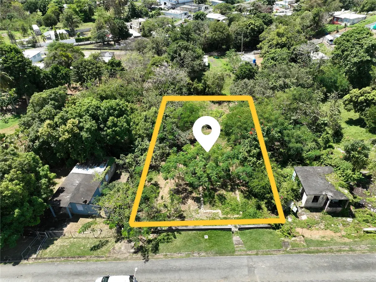 Las palmas Calle Pomarrosa #94, Arroyo, PR 00714 - Image #1