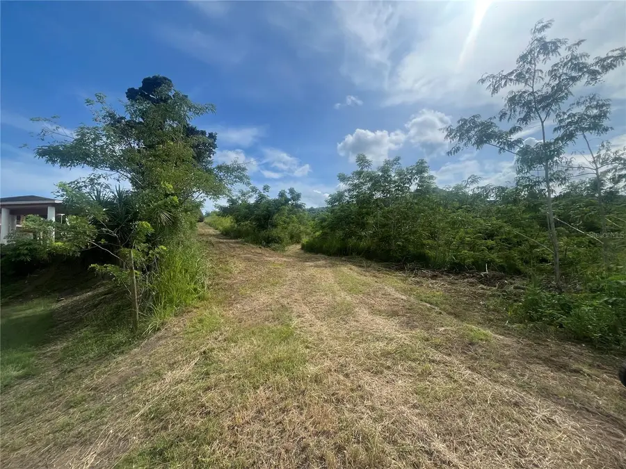 KM HM 17.7 Carr 150, Coamo, PR 00769 - Image #3