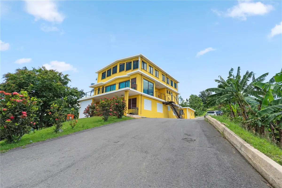 Bo. Hoyos Planes Carr. 531 Km Hm7, Jayuya, PR 00664 - Image #1