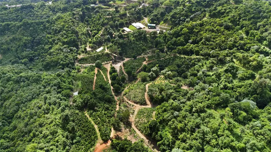 Bo. Hoyos Planes Carr. 531 Km Hm7, Jayuya, PR 00664 - Image #2