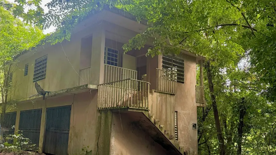 KM 14.5 Bo Jaguas, Ciales, PR 00638 - Image #2