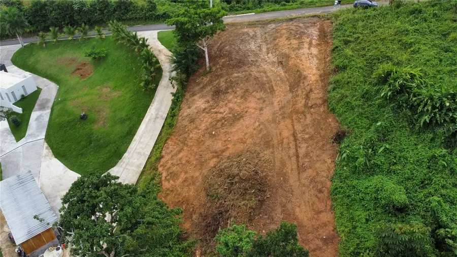 Carr 110, Moca, PR 00676 - Image #2