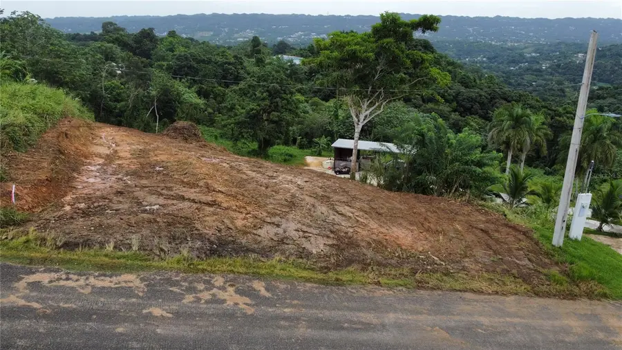 Carr 110, Moca, PR 00676 - Image #3