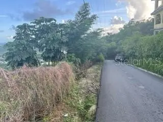 3 Candelero #1, Humacao, PR 00791 - Image #3