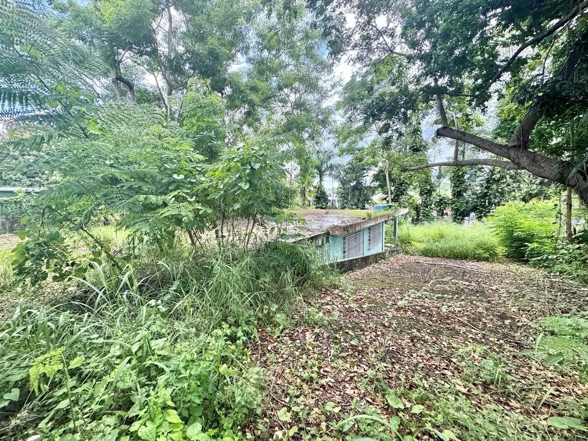 Carr 842 Caimito Alto, San Juan, PR 00926 - Image #1