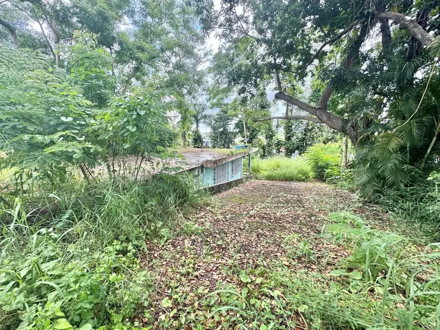 Carr 842 Caimito Alto, San Juan, PR 00926 - Image #2