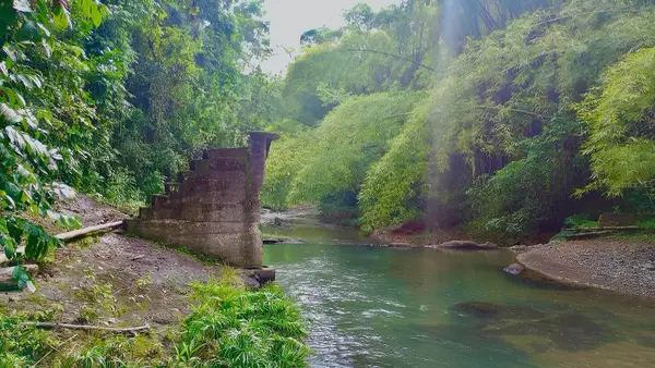 SOLAR 39 Bo Fronton, CIALES, PR 00638