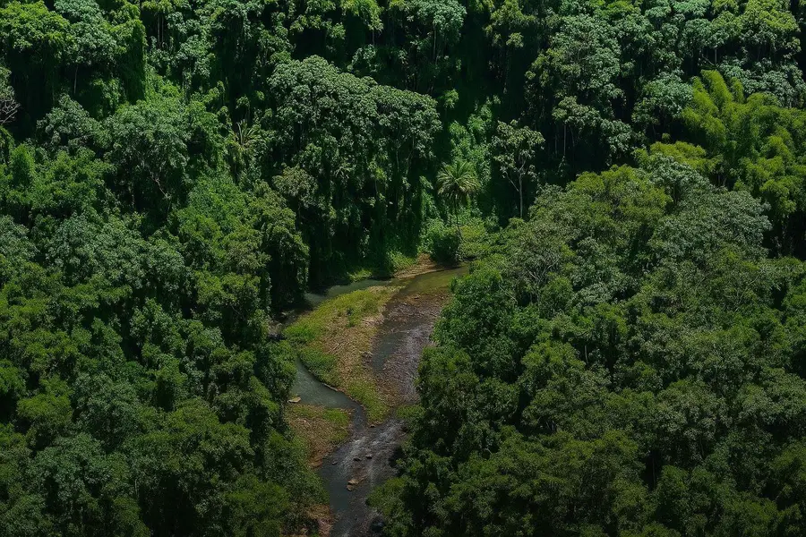 SOLAR 39 Bo Fronton, Ciales, PR 00638 - Image #3