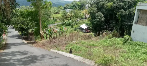 Carr. 435 Comunidad Perchas Ii, Calle Zafiro, SAN SEBASTIAN, PR 00685