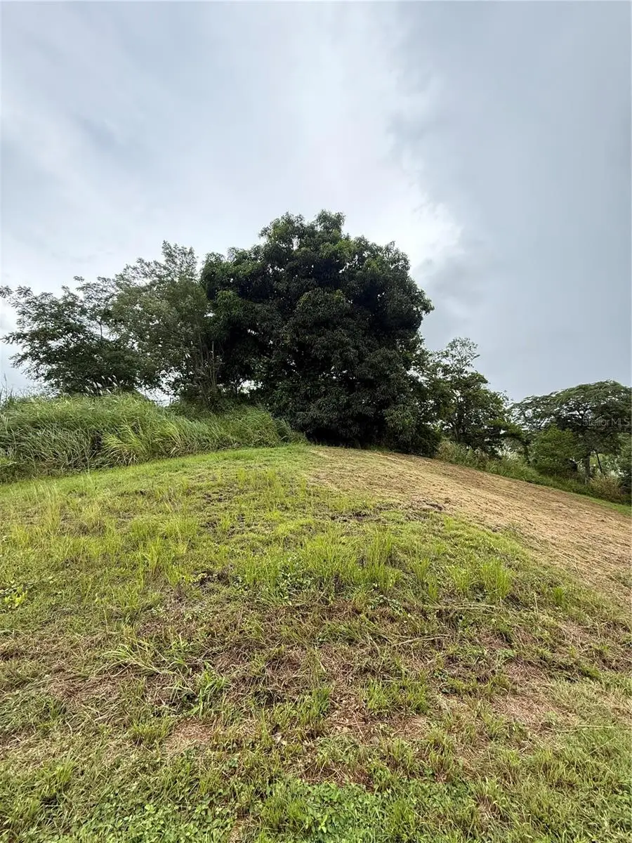 Route 159, Corozal, PR 00783 - Image #2