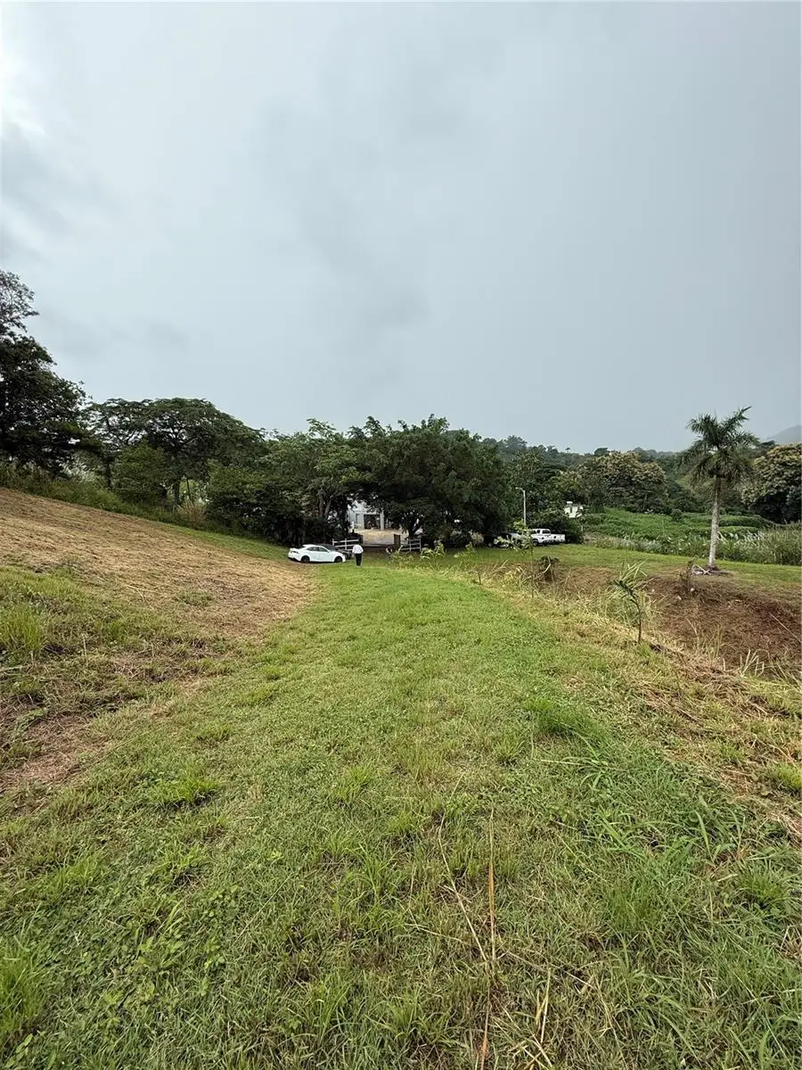 Route 159, Corozal, PR 00783 - Image #3