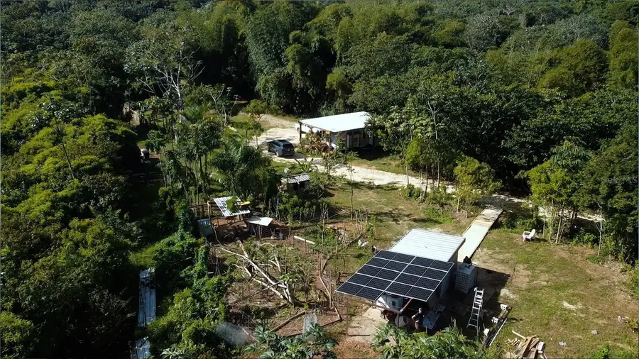 1 1 Bo Angeles, El Corcho, Utuado, PR 00641 - Image #3