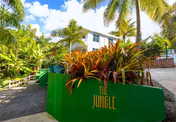 Carr. 413 Int.  Km 4 The Jungle, RINCON, PR 00677