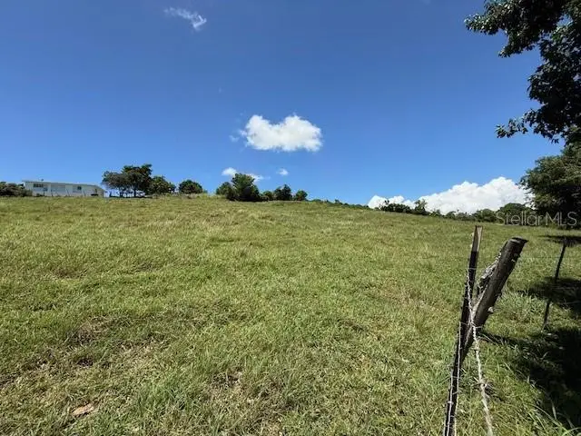 Bo Llanos Tuna, Cabo Rojo, PR 00623 - Image #3