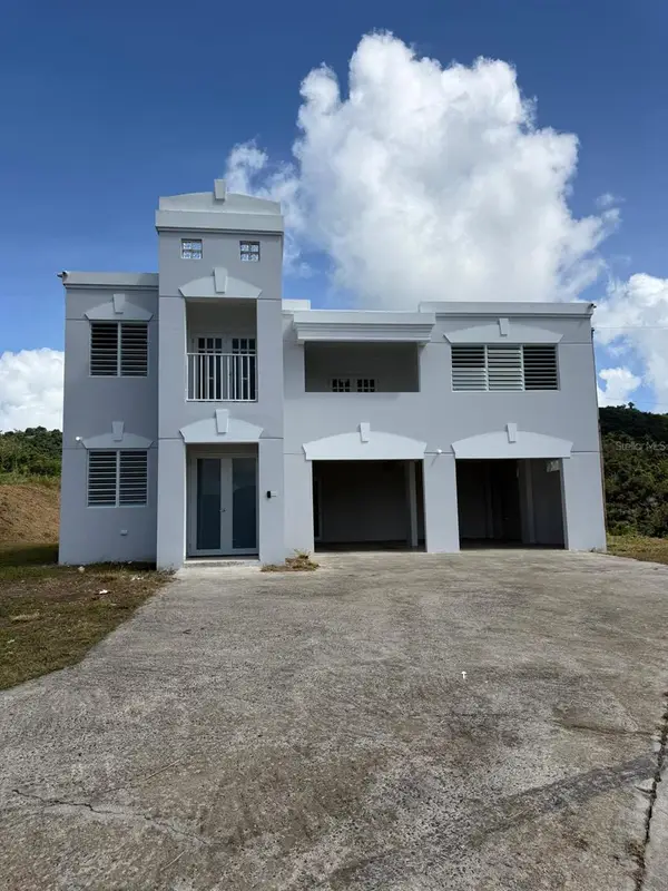 PR 918 Juan Dulio Cerr Gordo, SAN LORENZO, PR 00754