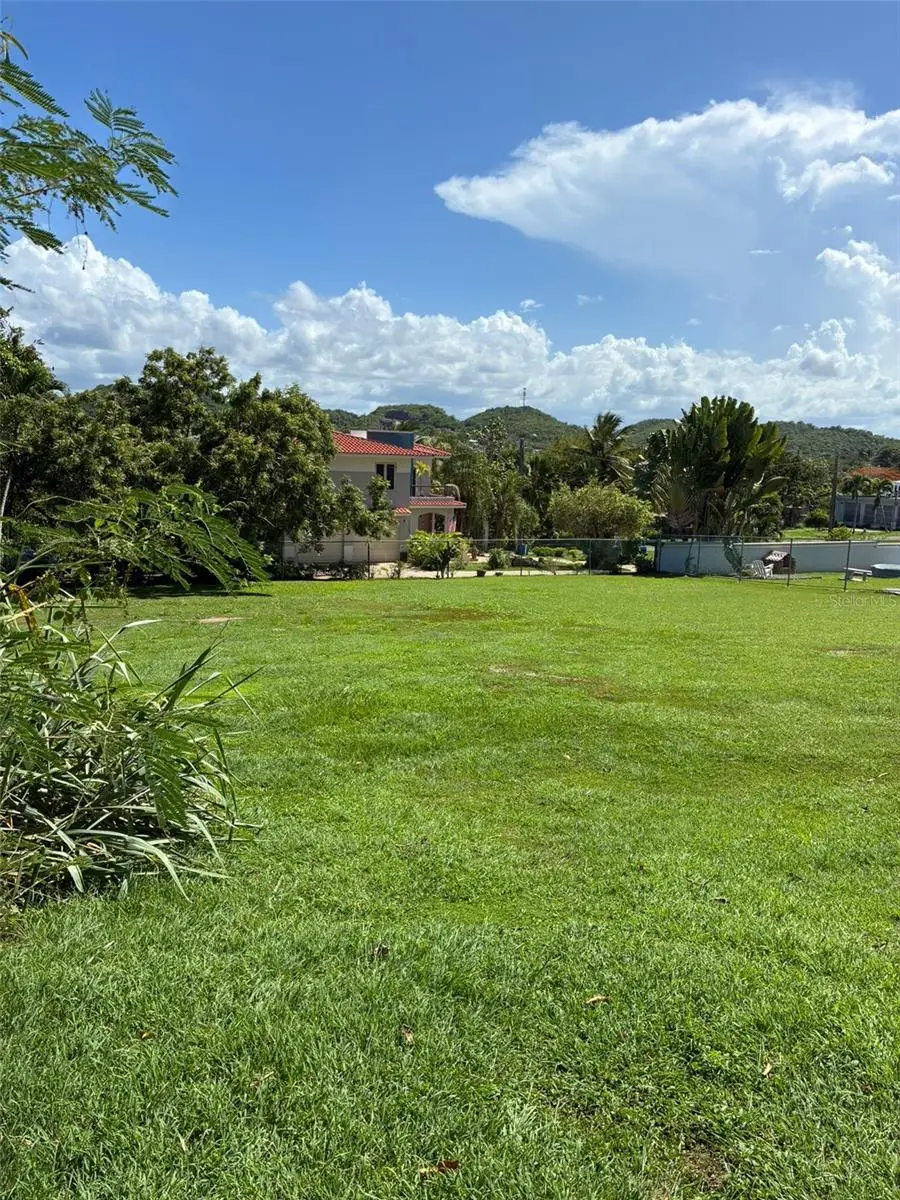 Lot-1 Rd-648 Km 1.0 Int. Tierras Nuevas, Manati, PR 00674 - #3