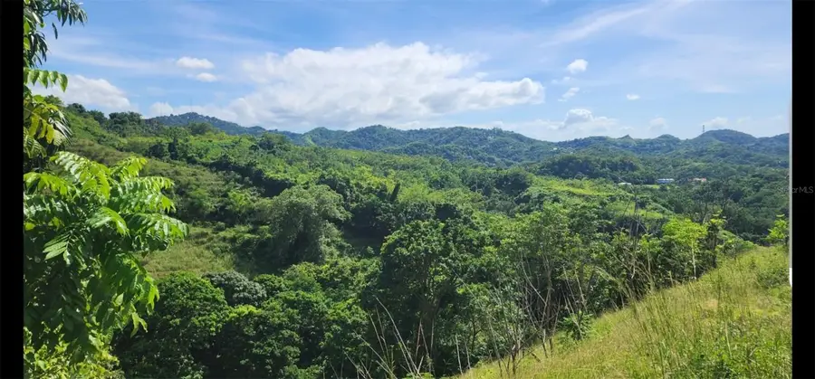 Carr. 412, Km. 4.8 Calle Pascual Nieves, Bo. Calvache, Rincon, PR 00677 - Image #3