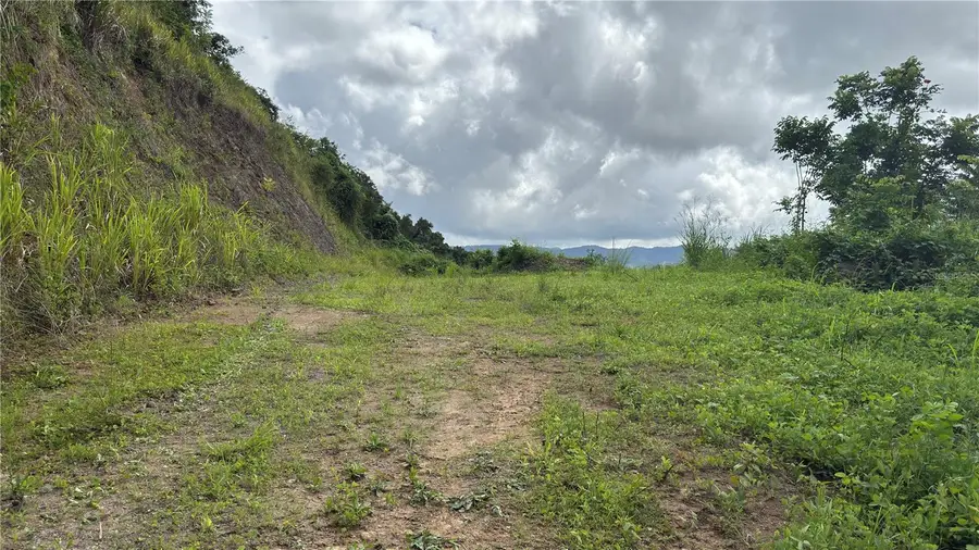 Bo. Honduras, Cidra, PR 00739 - Image #3