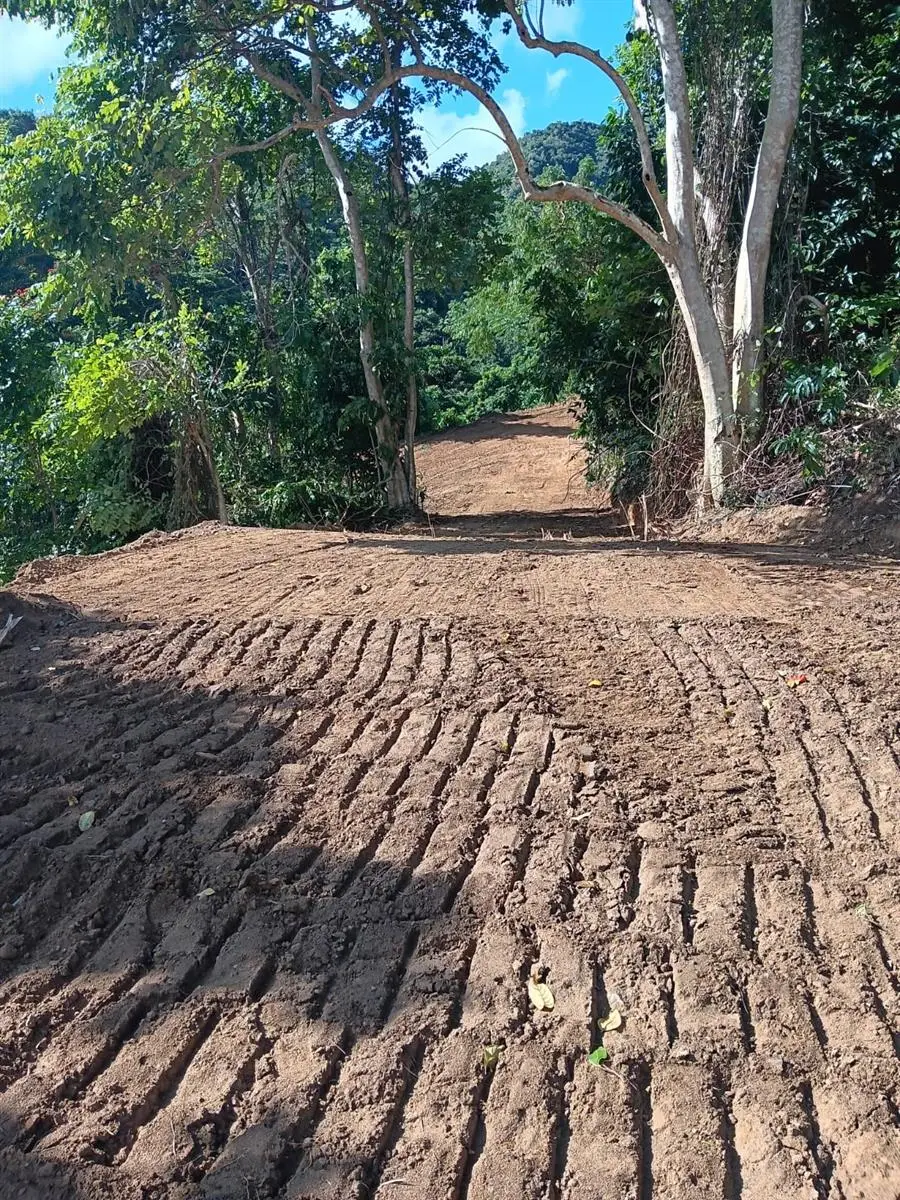 Carr 184 Km 6.4 Bo Mulas, Patillas, PR 00723 - Image #3