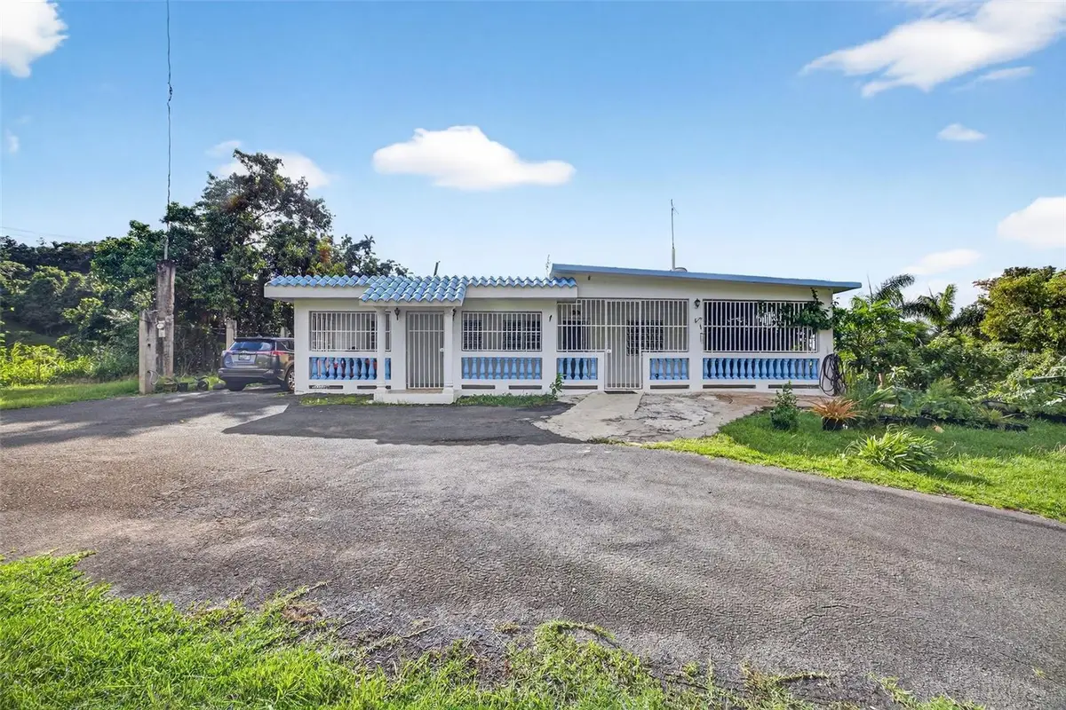 Carr. 186 INT 9948 KM 7.4 Sector Marines Cubuy, Canovanas, PR 00729 - Image #1