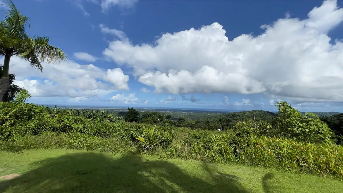 960 km 2.3 Lot B Bo Guzman Arriba, Rio Grande, PR 00745 - Image #1