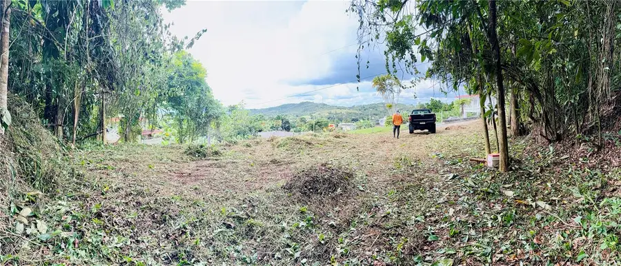 Calle Pineros, Cayey, PR 00736 - Image #3