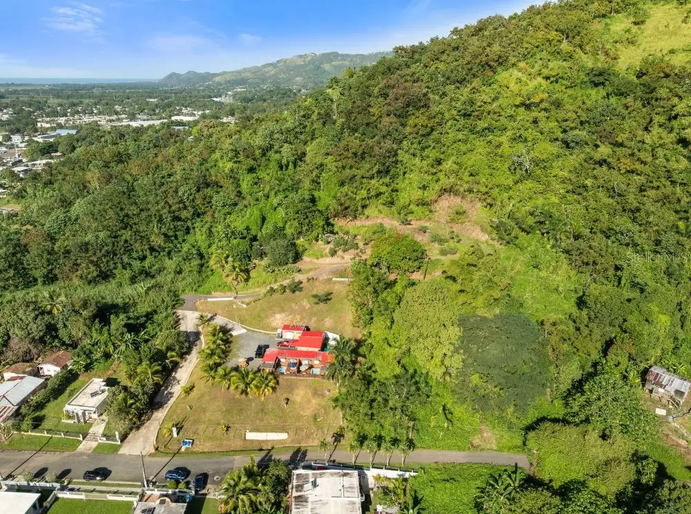 Solar 2. Barrio Daguey, Urb. Sagrado Corazon, Anasco, PR 00610 - Image #1