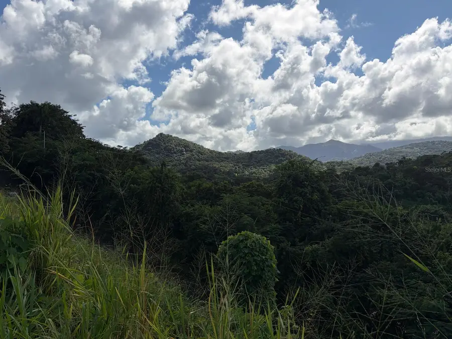 10 W Rainforest And Sea View, Luquillo, PR 00773 - Image #2