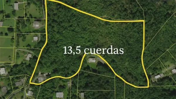 Carr 160 Km. Hm 10.6 Sect. La Gallera Bo Almirante, VEGA BAJA, PR 00693
