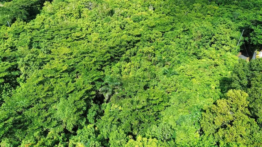 Carr 160 Km. Hm 10.6 Sect. La Gallera Bo Almirante, Vega Baja, PR 00693 - Image #2