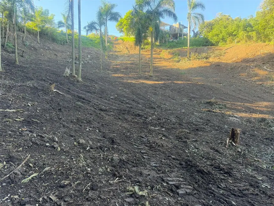 Km. 2.0 414 Street, Rincon, PR 00677 - Image #3